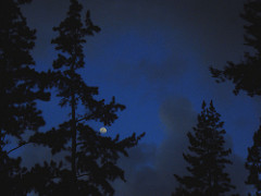 noche